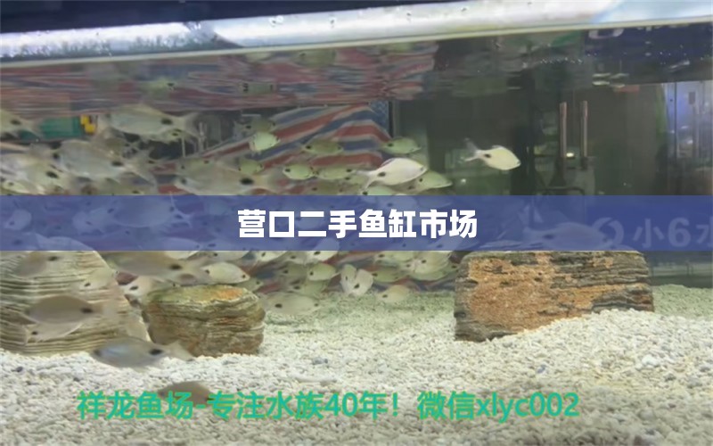 營口二手魚缸市場