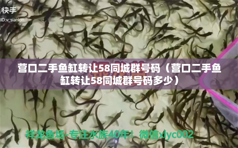 營口二手魚缸轉(zhuǎn)讓58同城群號(hào)碼（營口二手魚缸轉(zhuǎn)讓58同城群號(hào)碼多少） 祥龍水族醫(yī)院