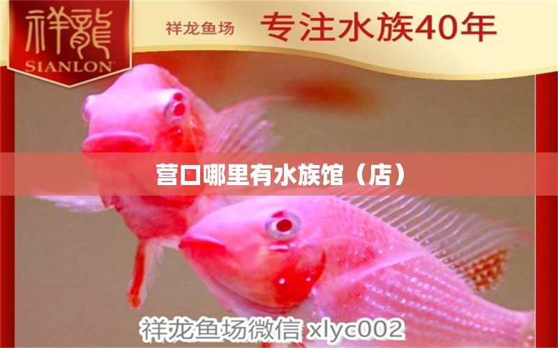 營口哪里有水族館（店） 觀賞魚水族批發(fā)市場