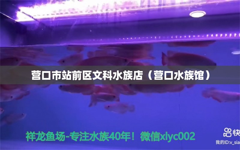 營(yíng)口市站前區(qū)文科水族店（營(yíng)口水族館）