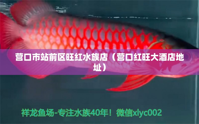 營(yíng)口市站前區(qū)旺紅水族店（營(yíng)口紅旺大酒店地址）