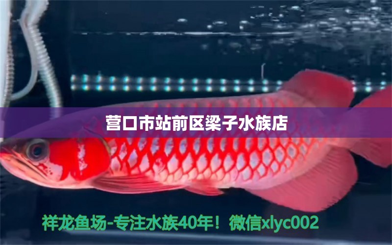 營口市站前區(qū)梁子水族店 全國水族館企業(yè)名錄