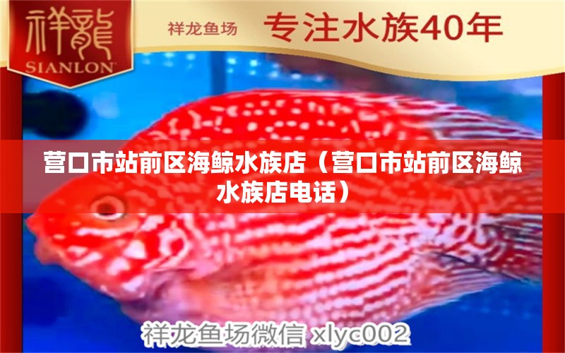 營(yíng)口市站前區(qū)海鯨水族店（營(yíng)口市站前區(qū)海鯨水族店電話）