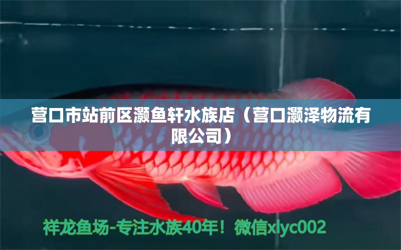 營(yíng)口市站前區(qū)灝魚軒水族店（營(yíng)口灝澤物流有限公司）