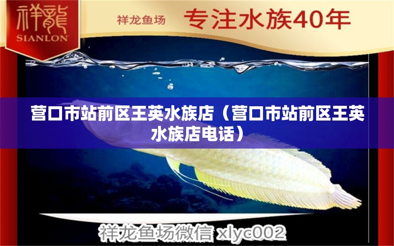 營口市站前區(qū)王英水族店（營口市站前區(qū)王英水族店電話）