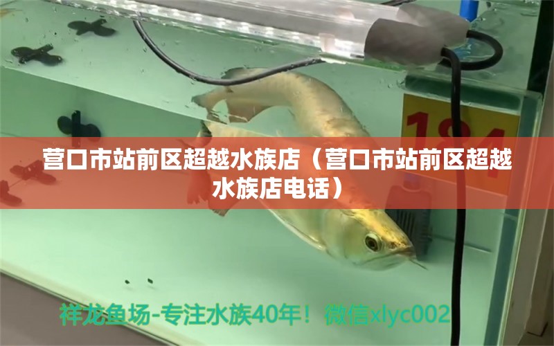 營(yíng)口市站前區(qū)超越水族店（營(yíng)口市站前區(qū)超越水族店電話）