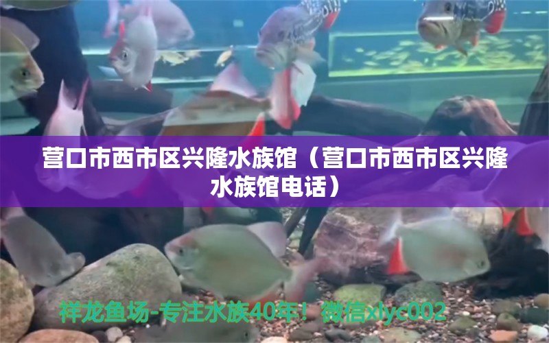 營口市西市區(qū)興隆水族館（營口市西市區(qū)興隆水族館電話）