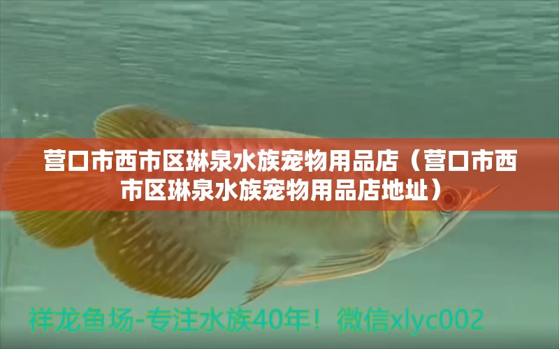 營口市西市區(qū)琳泉水族寵物用品店（營口市西市區(qū)琳泉水族寵物用品店地址）