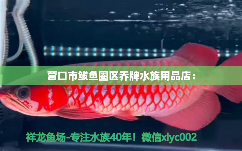 營(yíng)口市鲅魚(yú)圈區(qū)喬牌水族用品店：