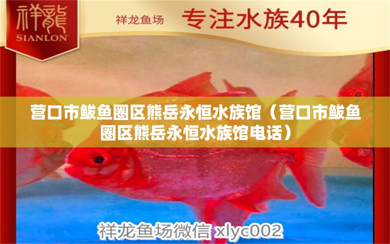 營(yíng)口市鲅魚圈區(qū)熊岳永恒水族館（營(yíng)口市鲅魚圈區(qū)熊岳永恒水族館電話） 全國(guó)水族館企業(yè)名錄