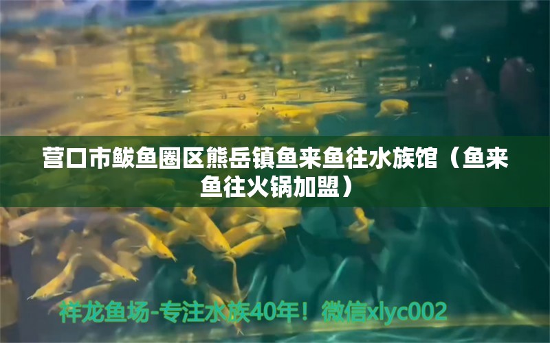 營(yíng)口市鲅魚圈區(qū)熊岳鎮(zhèn)魚來(lái)魚往水族館（魚來(lái)魚往火鍋加盟） 全國(guó)水族館企業(yè)名錄