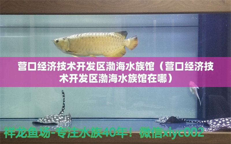 營口經(jīng)濟(jì)技術(shù)開發(fā)區(qū)渤海水族館（營口經(jīng)濟(jì)技術(shù)開發(fā)區(qū)渤海水族館在哪）