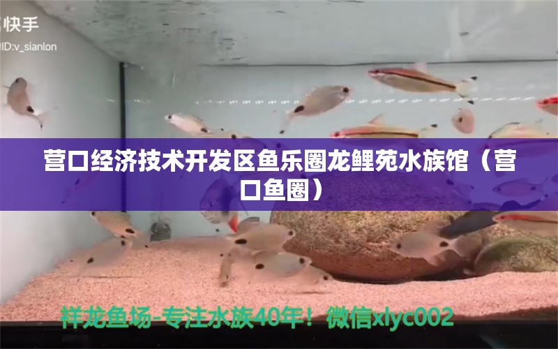 營口經(jīng)濟技術(shù)開發(fā)區(qū)魚樂圈龍鯉苑水族館（營口魚圈）