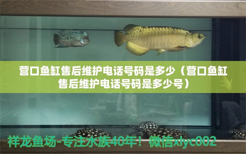 營(yíng)口魚缸售后維護(hù)電話號(hào)碼是多少（營(yíng)口魚缸售后維護(hù)電話號(hào)碼是多少號(hào)）