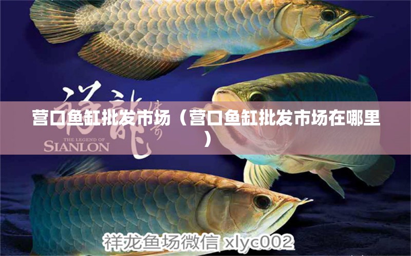 營(yíng)口魚(yú)缸批發(fā)市場(chǎng)（營(yíng)口魚(yú)缸批發(fā)市場(chǎng)在哪里）