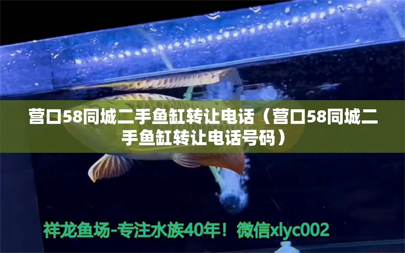 營口58同城二手魚缸轉(zhuǎn)讓電話（營口58同城二手魚缸轉(zhuǎn)讓電話號碼） 其它水族用具設(shè)備