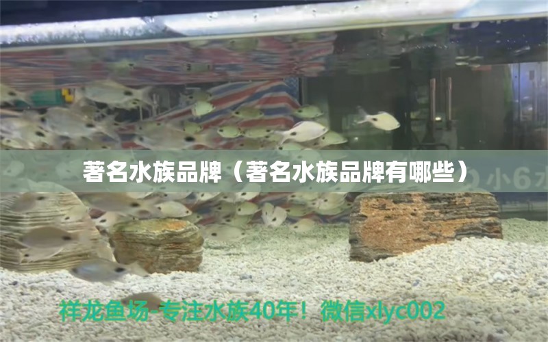 著名水族品牌（著名水族品牌有哪些）