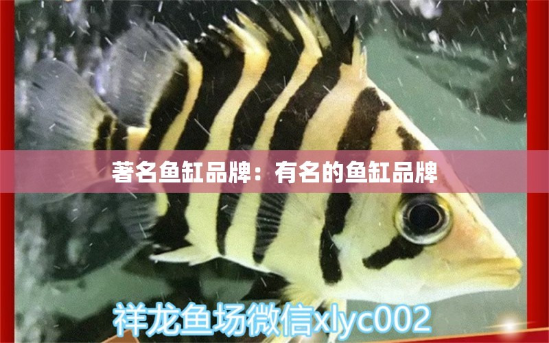 著名魚(yú)缸品牌：有名的魚(yú)缸品牌