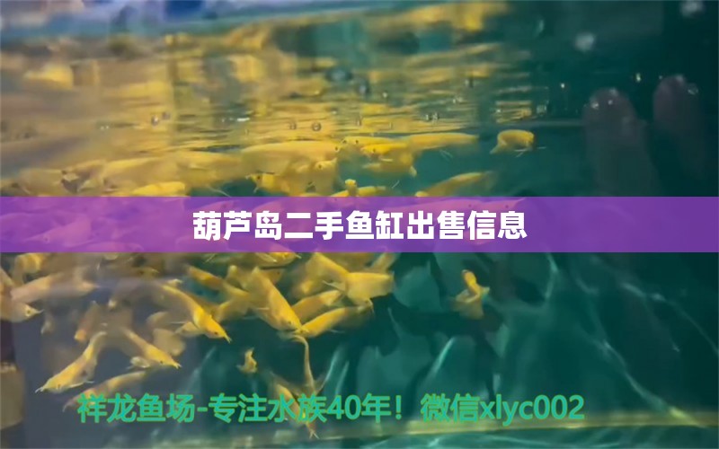 葫蘆島二手魚(yú)缸出售信息