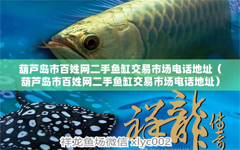 葫蘆島市百姓網(wǎng)二手魚缸交易市場(chǎng)電話地址（葫蘆島市百姓網(wǎng)二手魚缸交易市場(chǎng)電話地址）