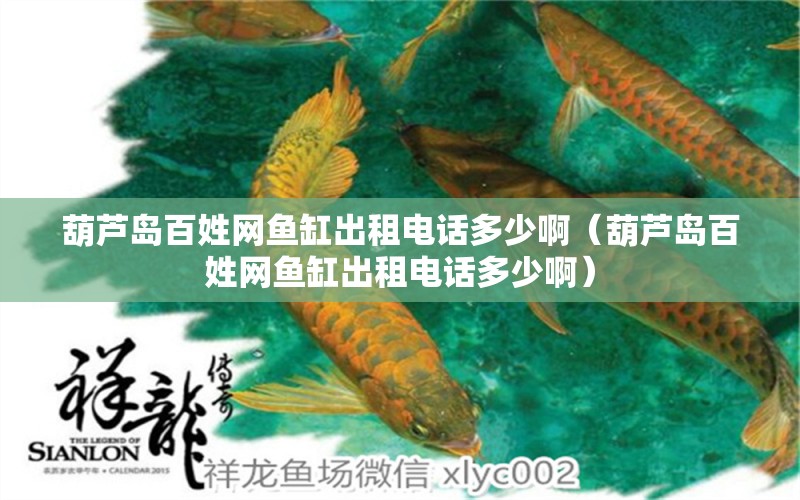 葫蘆島百姓網(wǎng)魚缸出租電話多少?。êJ島百姓網(wǎng)魚缸出租電話多少?。? title=