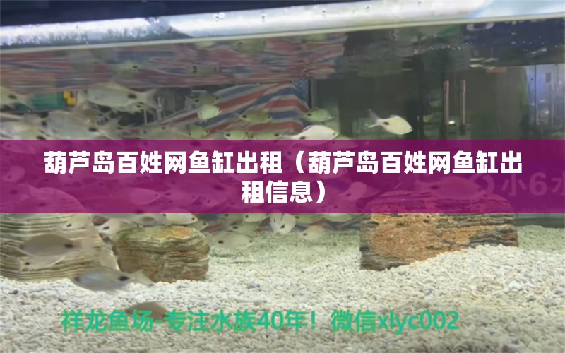 葫蘆島百姓網(wǎng)魚(yú)缸出租（葫蘆島百姓網(wǎng)魚(yú)缸出租信息）