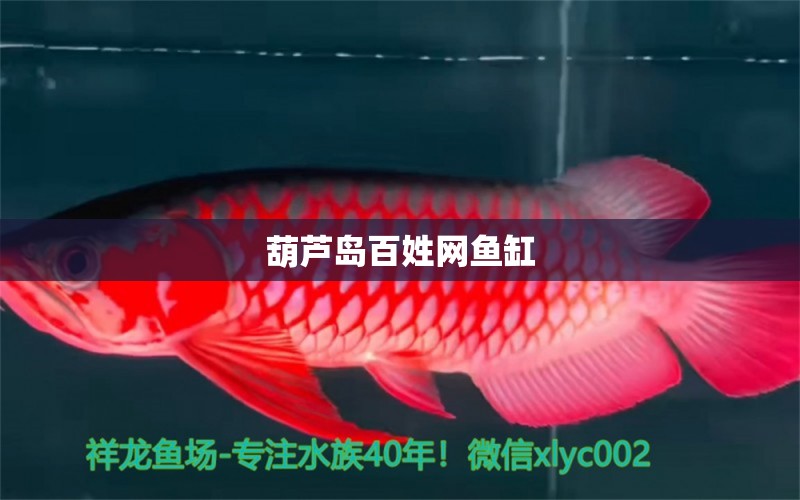 葫蘆島百姓網(wǎng)魚缸