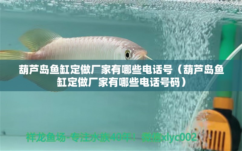 葫蘆島魚缸定做廠家有哪些電話號（葫蘆島魚缸定做廠家有哪些電話號碼） 祥龍水族醫(yī)院