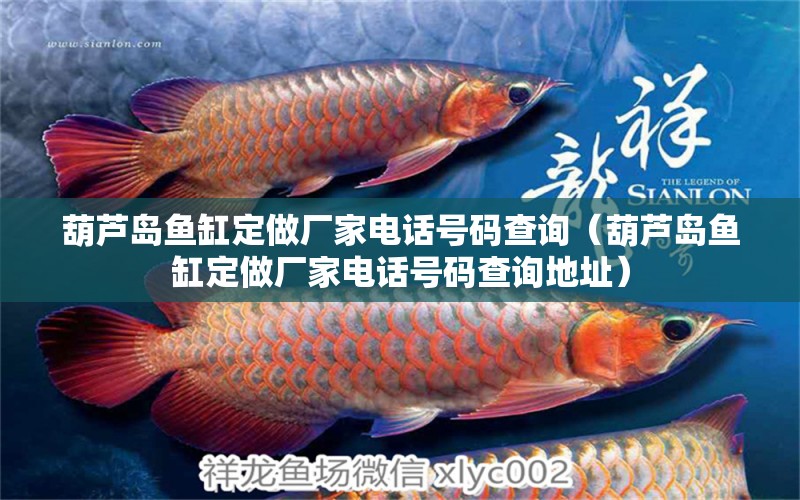 葫蘆島魚缸定做廠家電話號碼查詢（葫蘆島魚缸定做廠家電話號碼查詢地址）