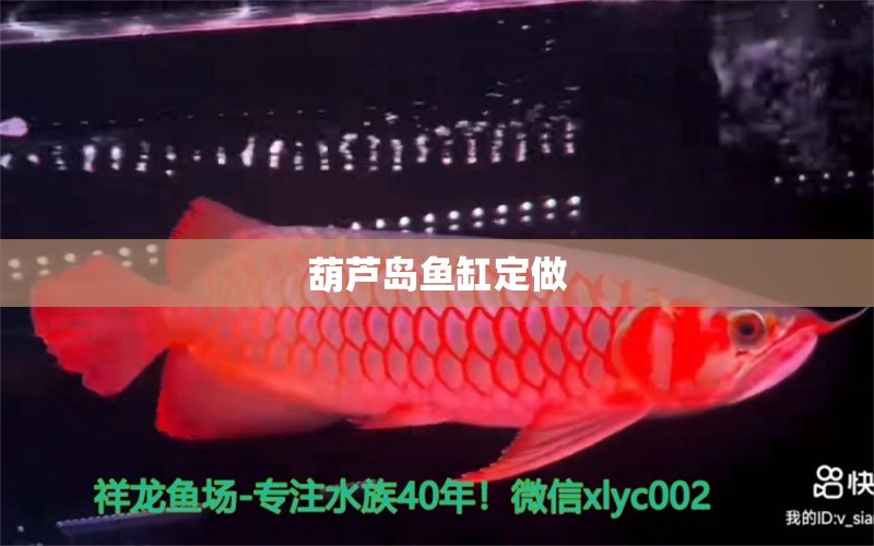 葫蘆島魚缸定做 其他品牌魚缸