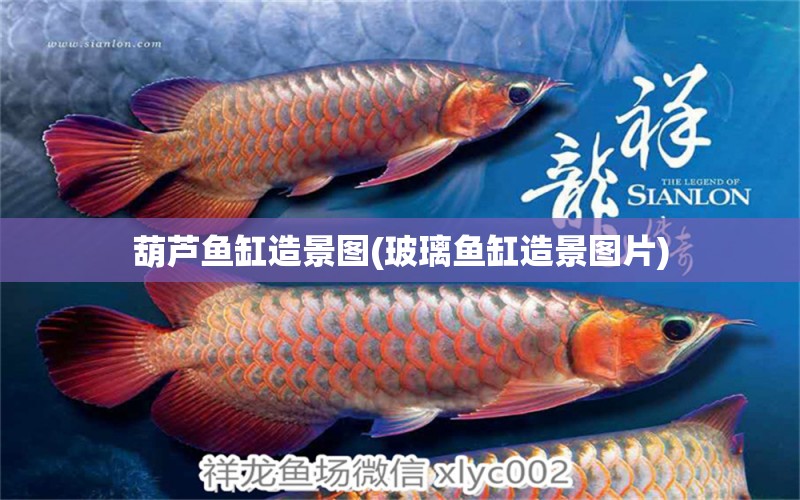 葫蘆魚缸造景圖(玻璃魚缸造景圖片) 其他品牌魚缸