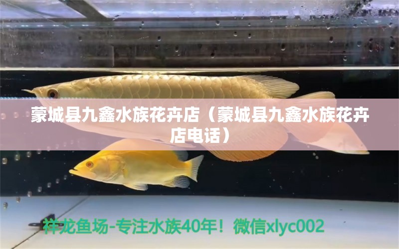 蒙城縣九鑫水族花卉店（蒙城縣九鑫水族花卉店電話）