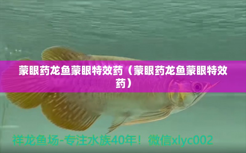 蒙眼藥龍魚蒙眼特效藥（蒙眼藥龍魚蒙眼特效藥）