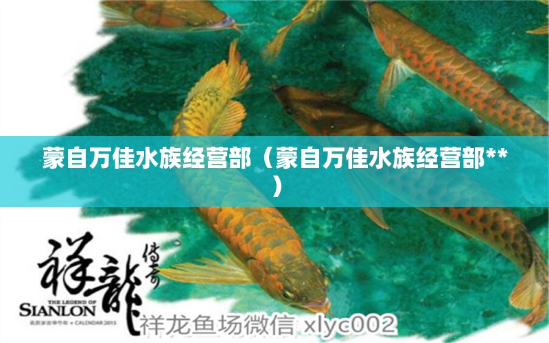 蒙自萬佳水族經(jīng)營部（蒙自萬佳水族經(jīng)營部**）