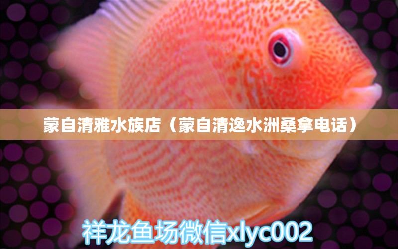 蒙自清雅水族店（蒙自清逸水洲桑拿電話）