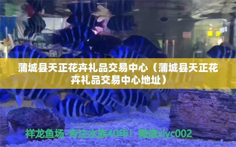 蒲城縣天正花卉禮品交易中心（蒲城縣天正花卉禮品交易中心地址）