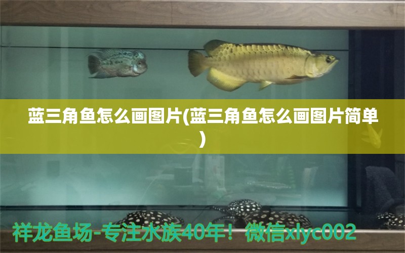 藍三角魚怎么畫圖片(藍三角魚怎么畫圖片簡單) 觀賞魚 第1張