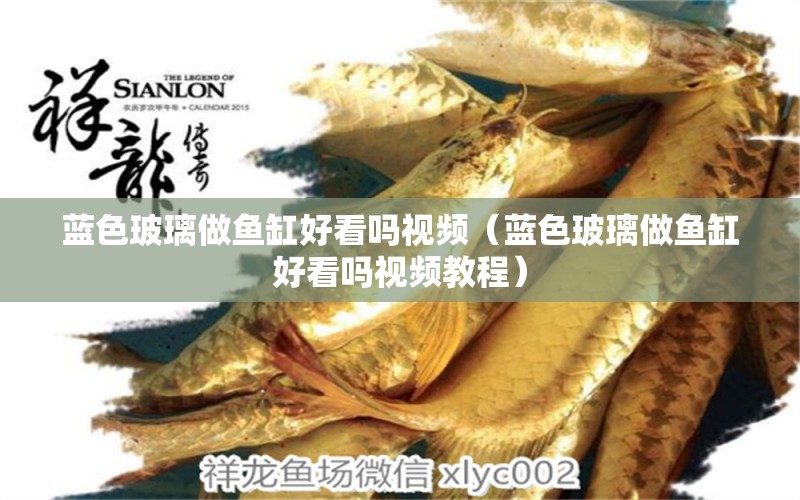 藍(lán)色玻璃做魚缸好看嗎視頻（藍(lán)色玻璃做魚缸好看嗎視頻教程）