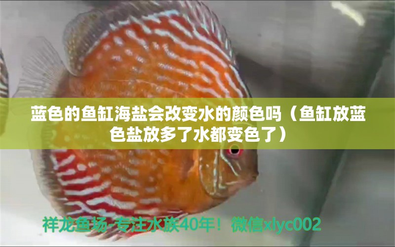 藍(lán)色的魚缸海鹽會(huì)改變水的顏色嗎（魚缸放藍(lán)色鹽放多了水都變色了）