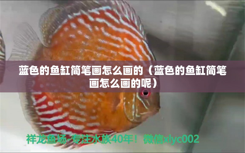 藍(lán)色的魚缸簡(jiǎn)筆畫怎么畫的（藍(lán)色的魚缸簡(jiǎn)筆畫怎么畫的呢） 巴西亞魚苗