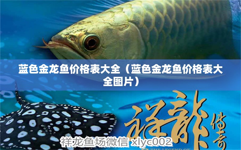 藍(lán)色金龍魚(yú)價(jià)格表大全（藍(lán)色金龍魚(yú)價(jià)格表大全圖片）