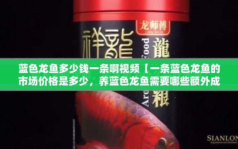 藍(lán)色龍魚多少錢一條啊視頻【一條藍(lán)色龍魚的市場價格是多少，養(yǎng)藍(lán)色龍魚需要哪些額外成本】 水族問答 第1張