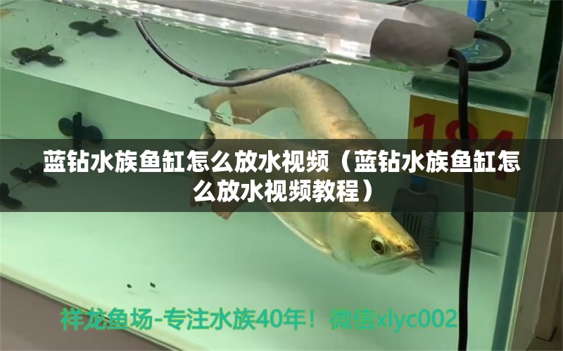 藍鉆水族魚缸怎么放水視頻（藍鉆水族魚缸怎么放水視頻教程）