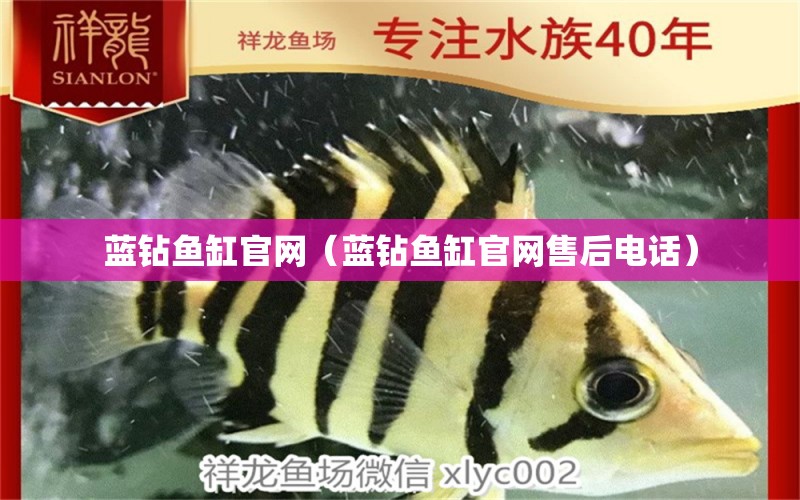 藍(lán)鉆魚(yú)缸官網(wǎng)（藍(lán)鉆魚(yú)缸官網(wǎng)售后電話） 祥龍魚(yú)場(chǎng)