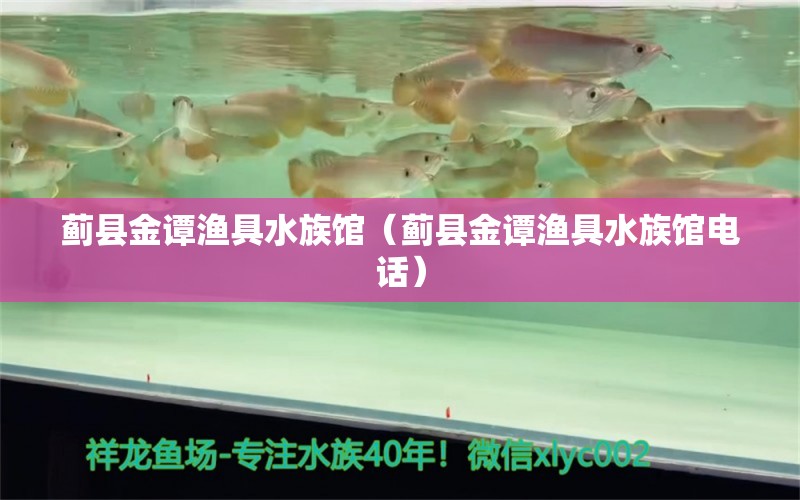 薊縣金譚漁具水族館（薊縣金譚漁具水族館電話）