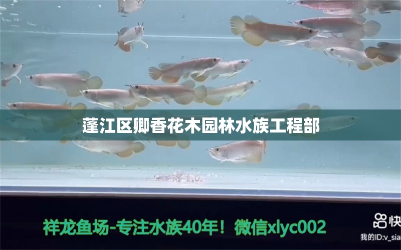 蓬江區(qū)卿香花木園林水族工程部