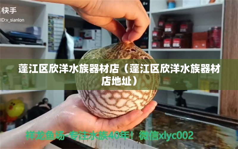 蓬江區(qū)欣洋水族器材店（蓬江區(qū)欣洋水族器材店地址） 全國(guó)水族館企業(yè)名錄