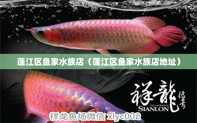 蓬江區(qū)魚家水族店（蓬江區(qū)魚家水族店地址）