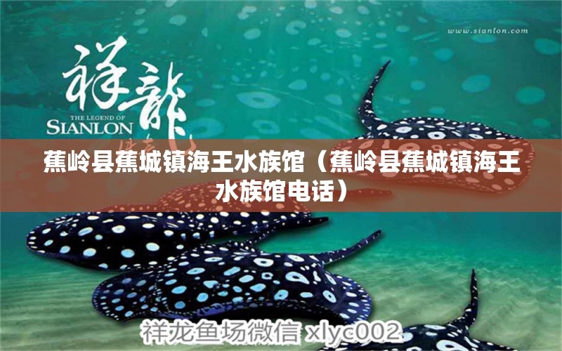 蕉嶺縣蕉城鎮(zhèn)海王水族館（蕉嶺縣蕉城鎮(zhèn)海王水族館電話） 全國水族館企業(yè)名錄