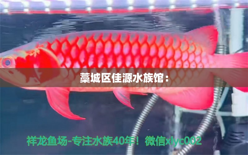 藁城區(qū)佳源水族館：